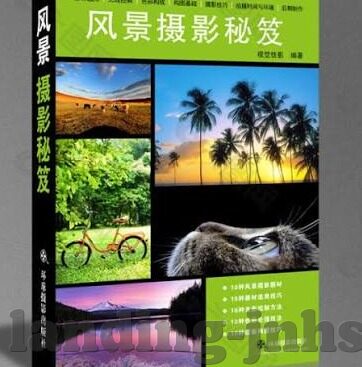 足球比分网的数据-足球比分网数据，洞察绿茵风云的数字窗口